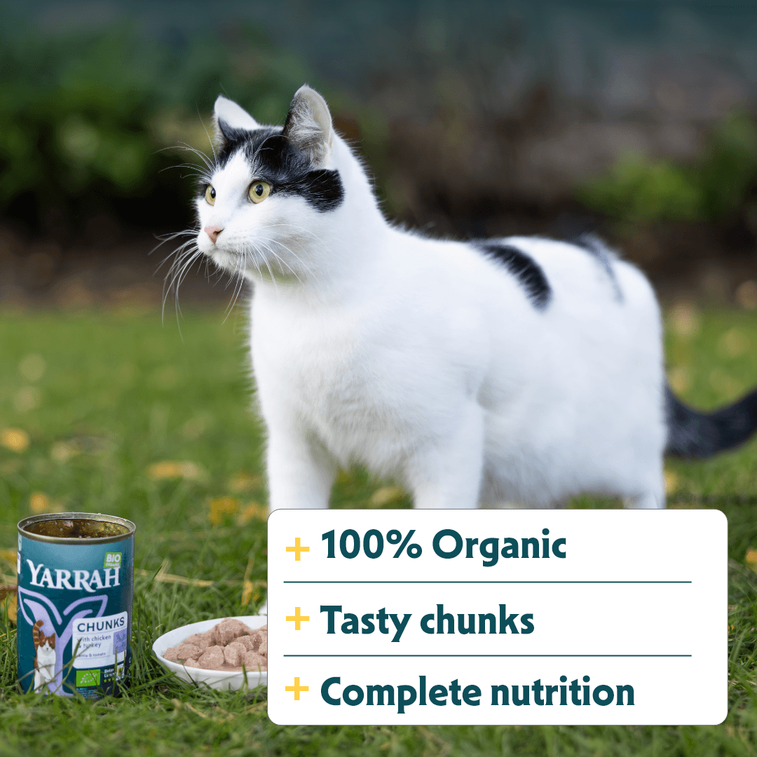 Bouchées biologiques au poulet et à la dinde pour chat