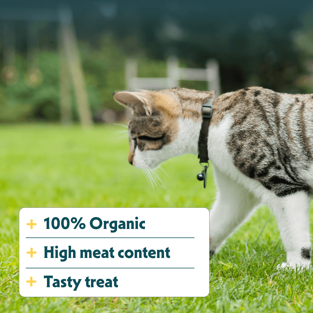 Bio-Kaustangen für Katzen
