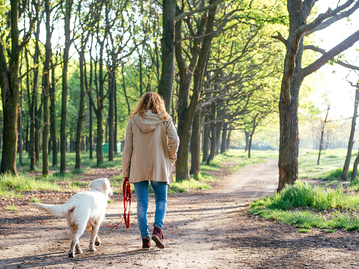 Wie viel Bewegung braucht mein Hund?