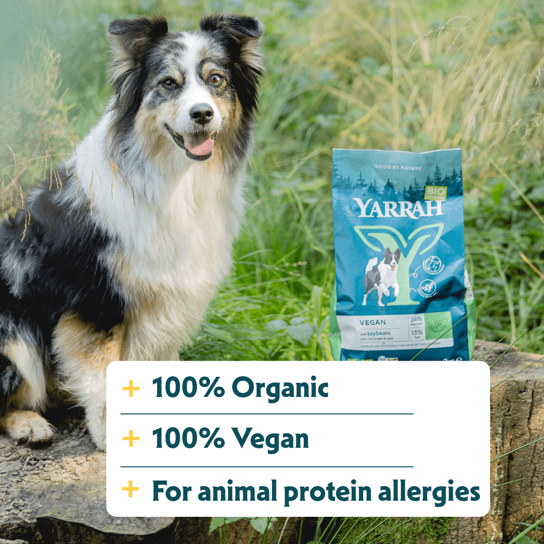 Croquettes biologiques Végans