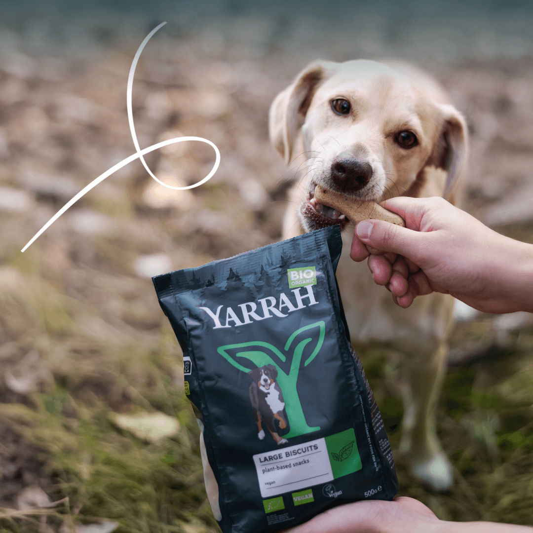 Bio-Hundekekse Vegane für größere Hunde