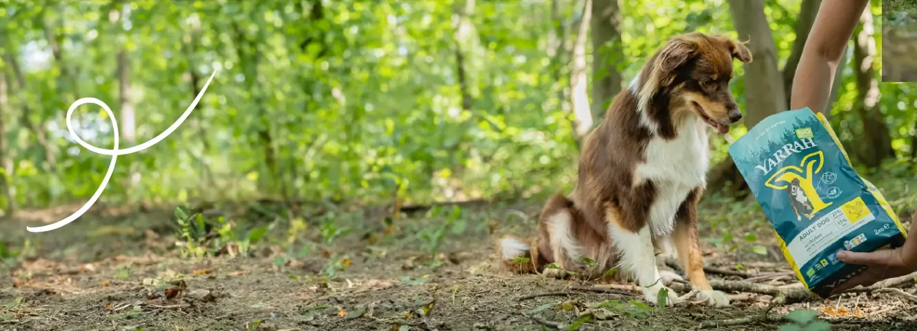 Pets, People, Planet – What We Stand for at Yarrah