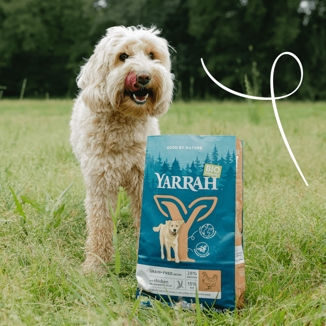 Croquettes biologiques sans céréales