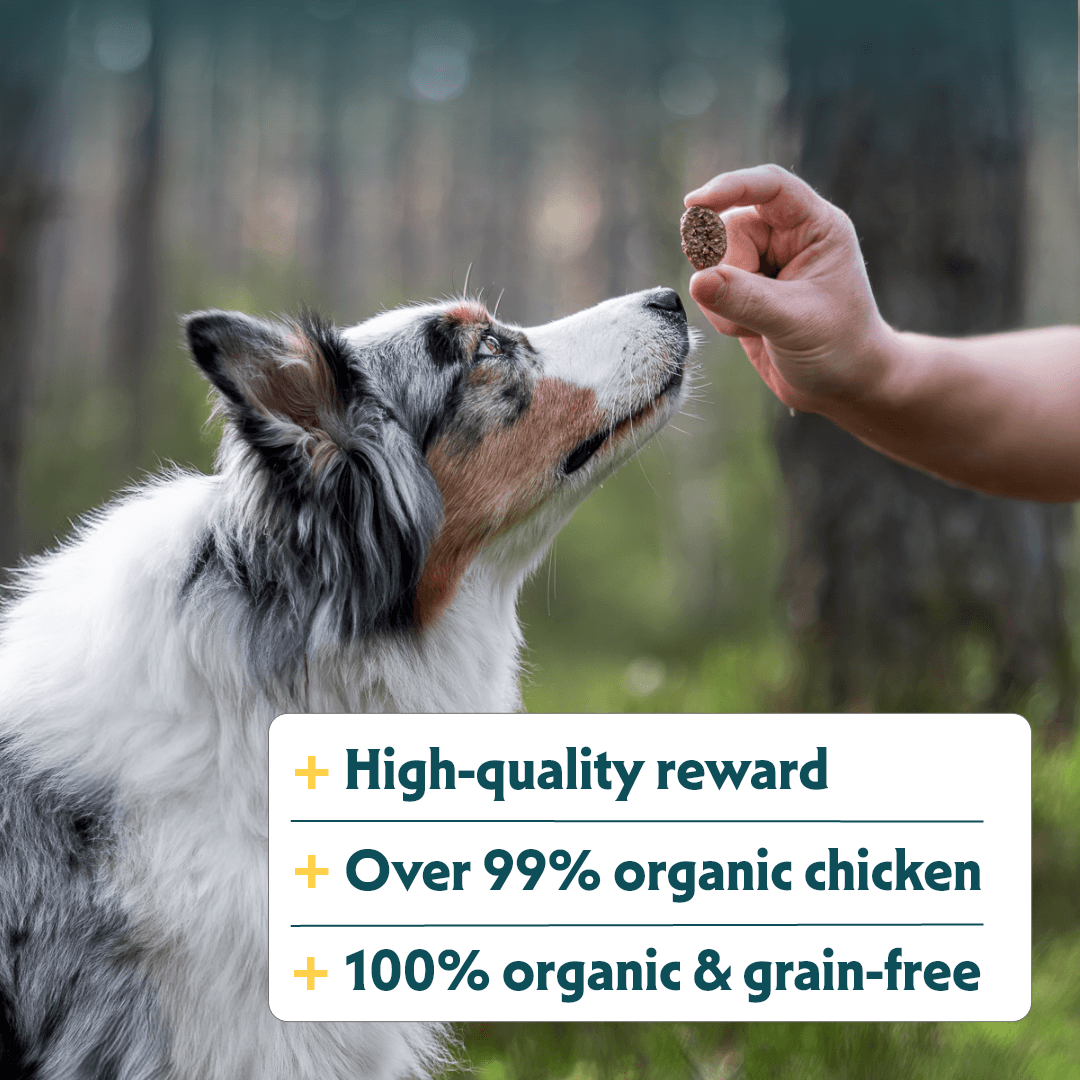 Biologische Crispy rewards met kip