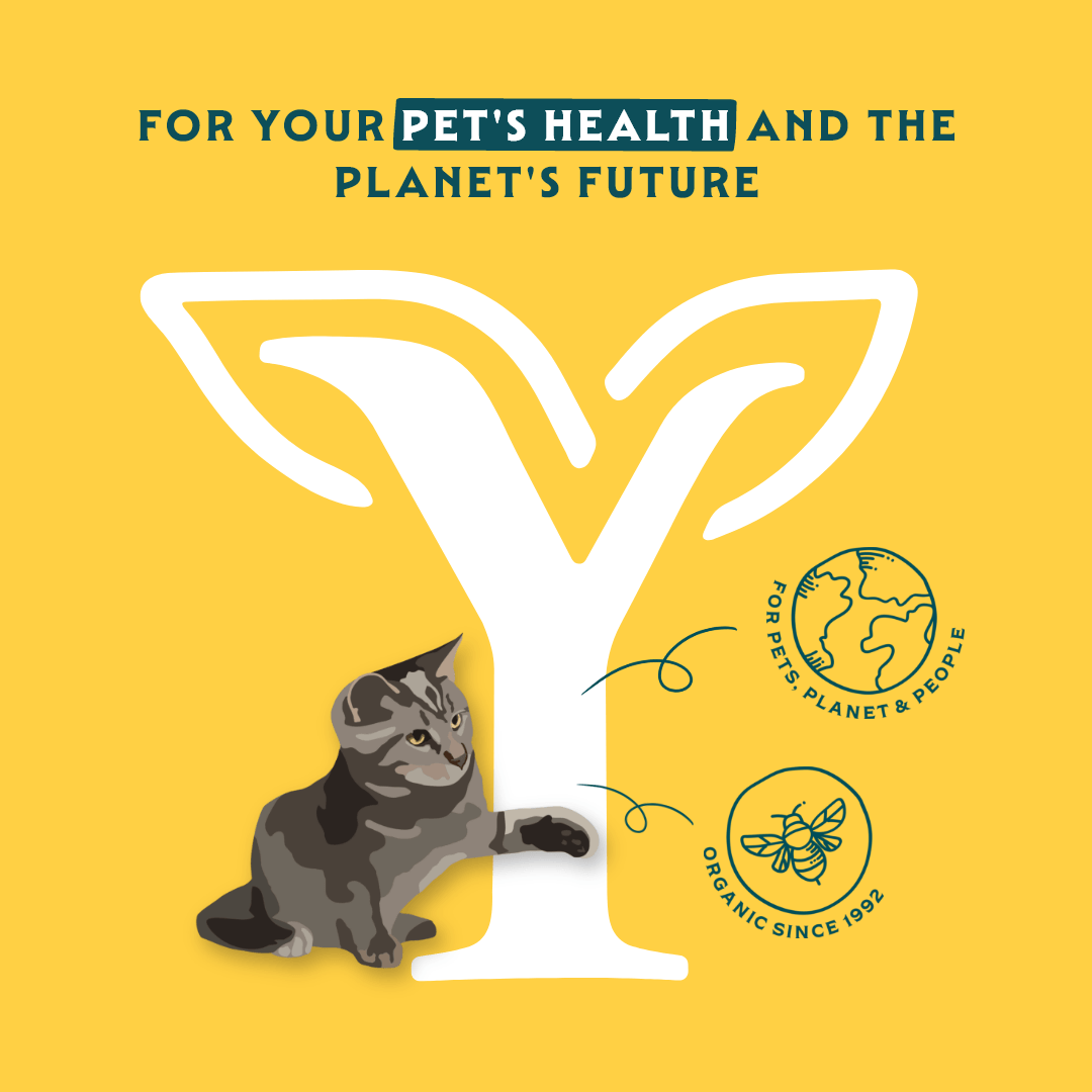Bouchées biologiques au poulet et au bœuf pour chat