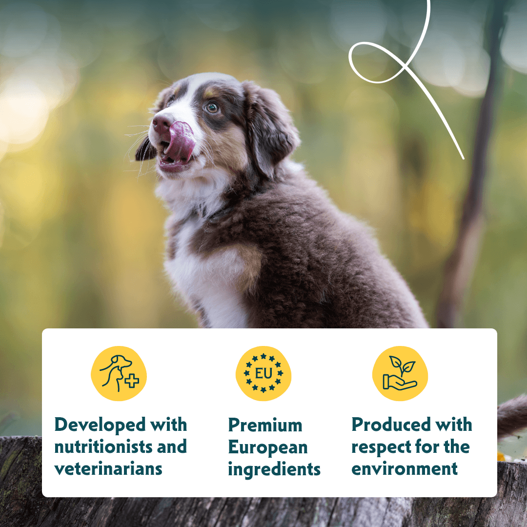Bio-Hundefutter Welpe