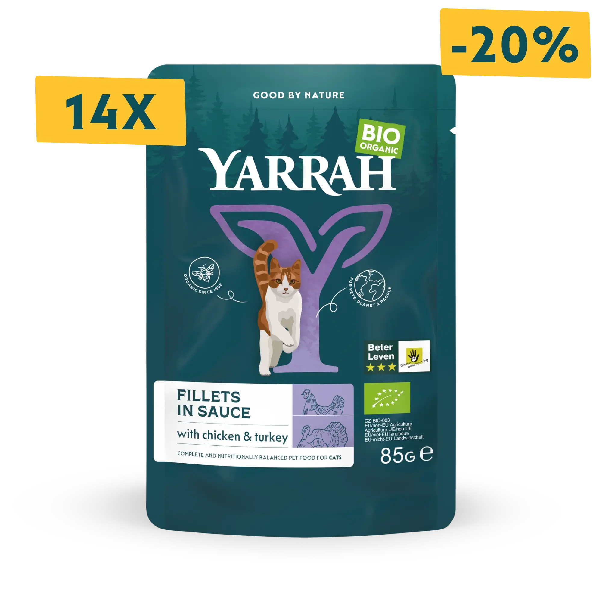 Organic cat food fillets with turkey in sauce