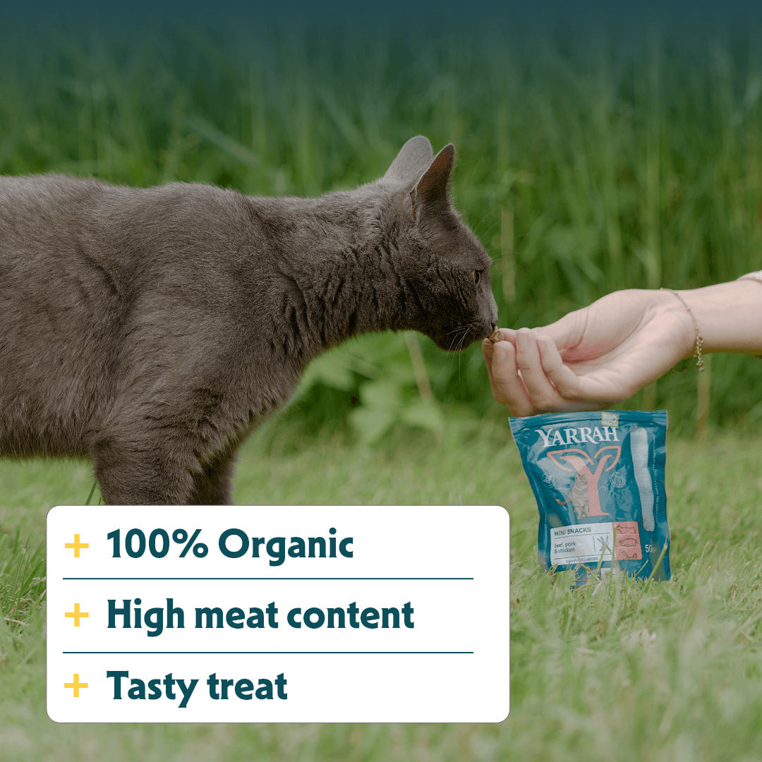 Mini snack biologici per gatti