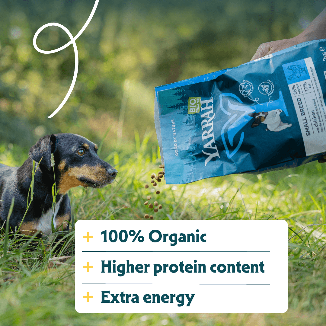 Croquettes biologiques pour chien de petite race