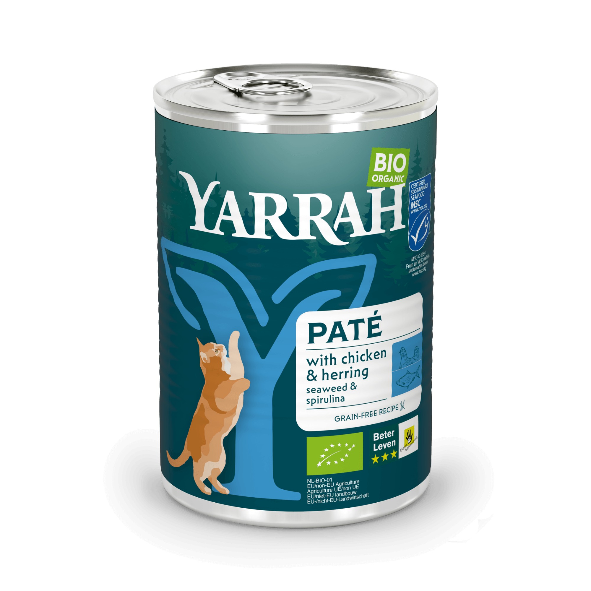 Organic cat food pâté with fish