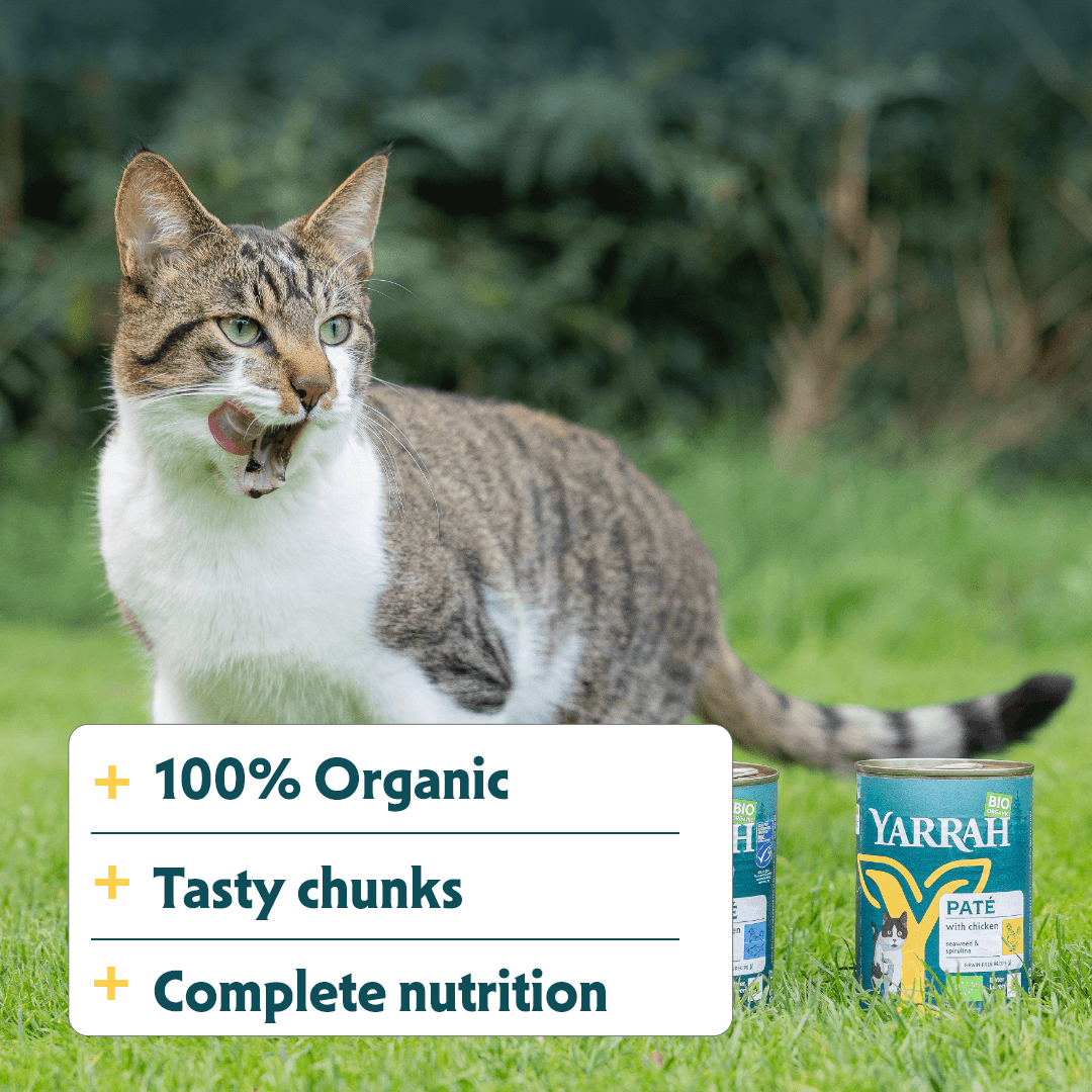 Bouchées biologiques au poulet pour chat