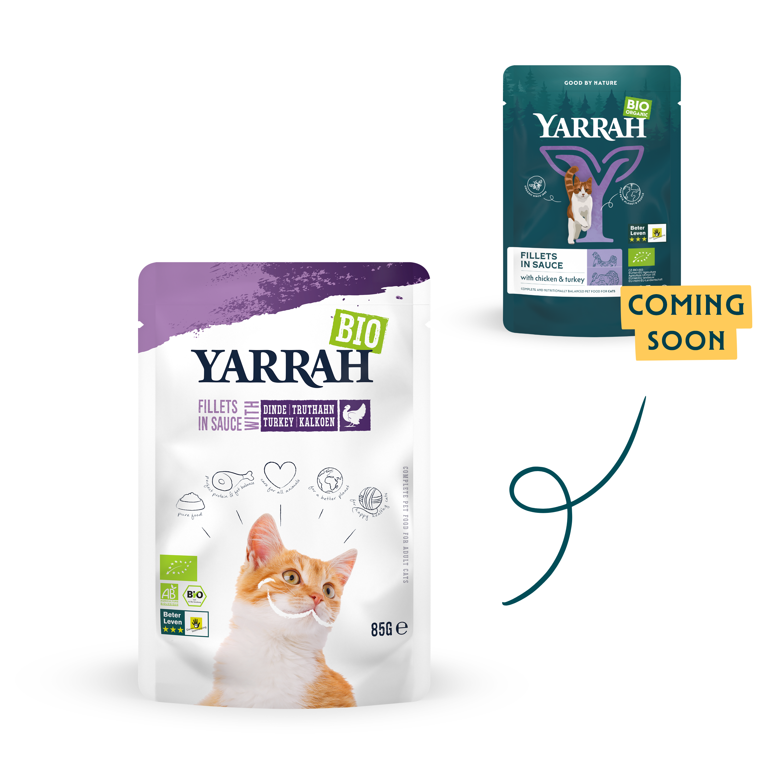 Organic cat food fillets with turkey in sauce Organic cat food fillets with turkey in sauce